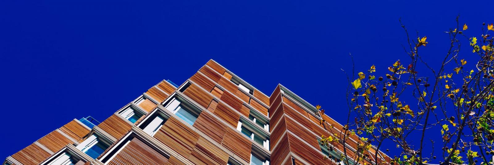 Management von Objekten im Bereich FM Ansicht von unten eines Buerogebaeudes mit Holzfassade und eines Baums auf der rechten Seite des Bildes
